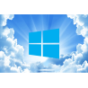 Microsoft Windows